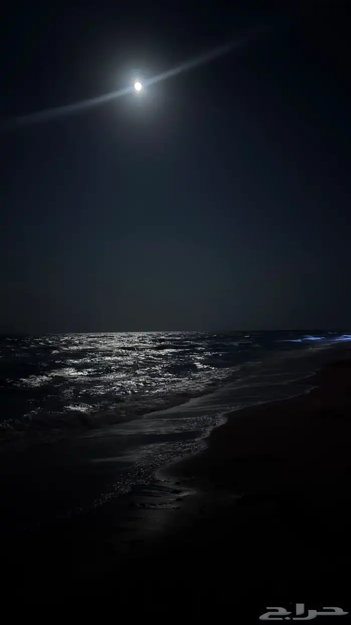 مصور محترف. تصوير 5