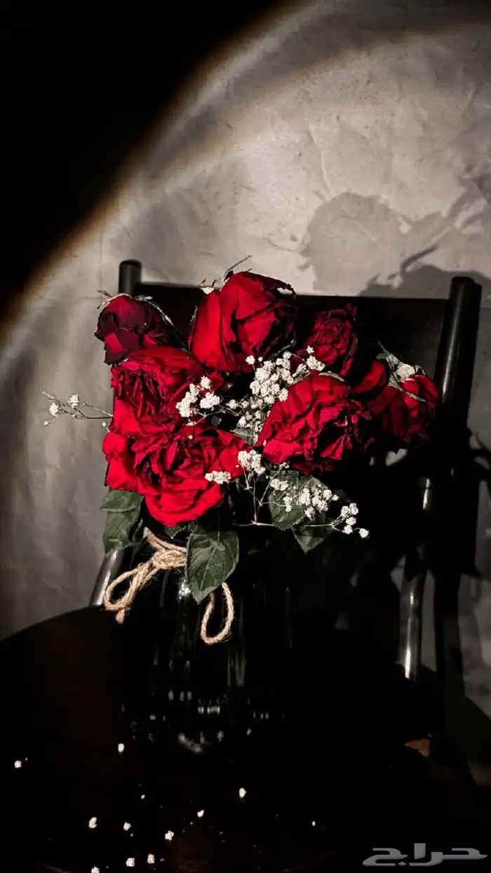 مصور محترف. تصوير 0