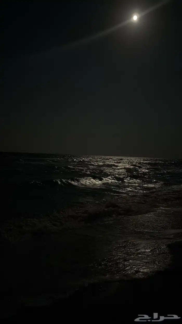 مصور محترف. تصوير 4