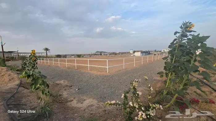 ايواء الخيل 14