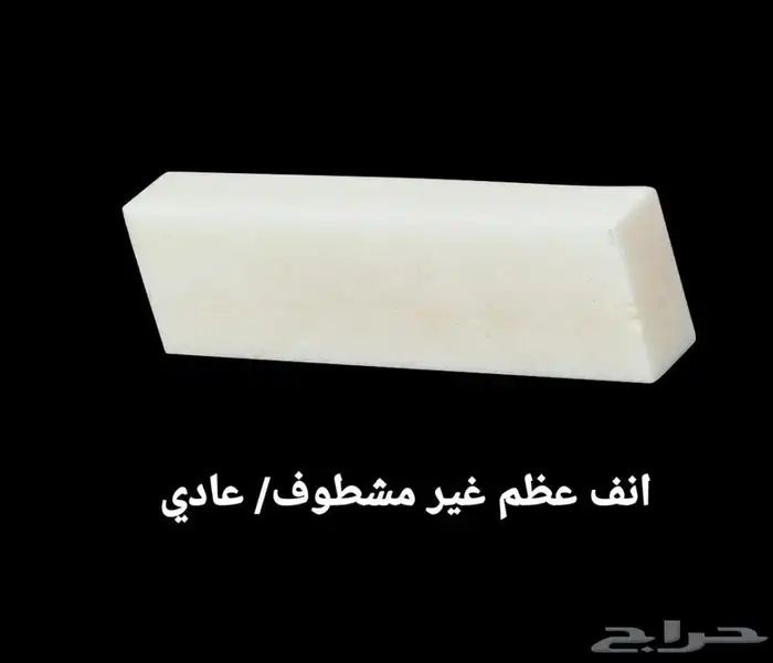 أنف العود (العظمة) من العظم الطبيعي مشطوف عادي جديد للبيع 2