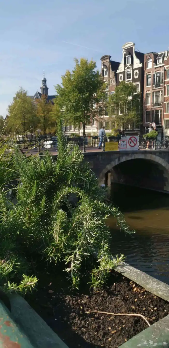 منسق سفر وسياحه 0