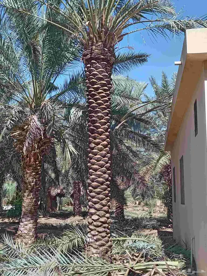 جميع مناطق المملكة العربية السعودية 4