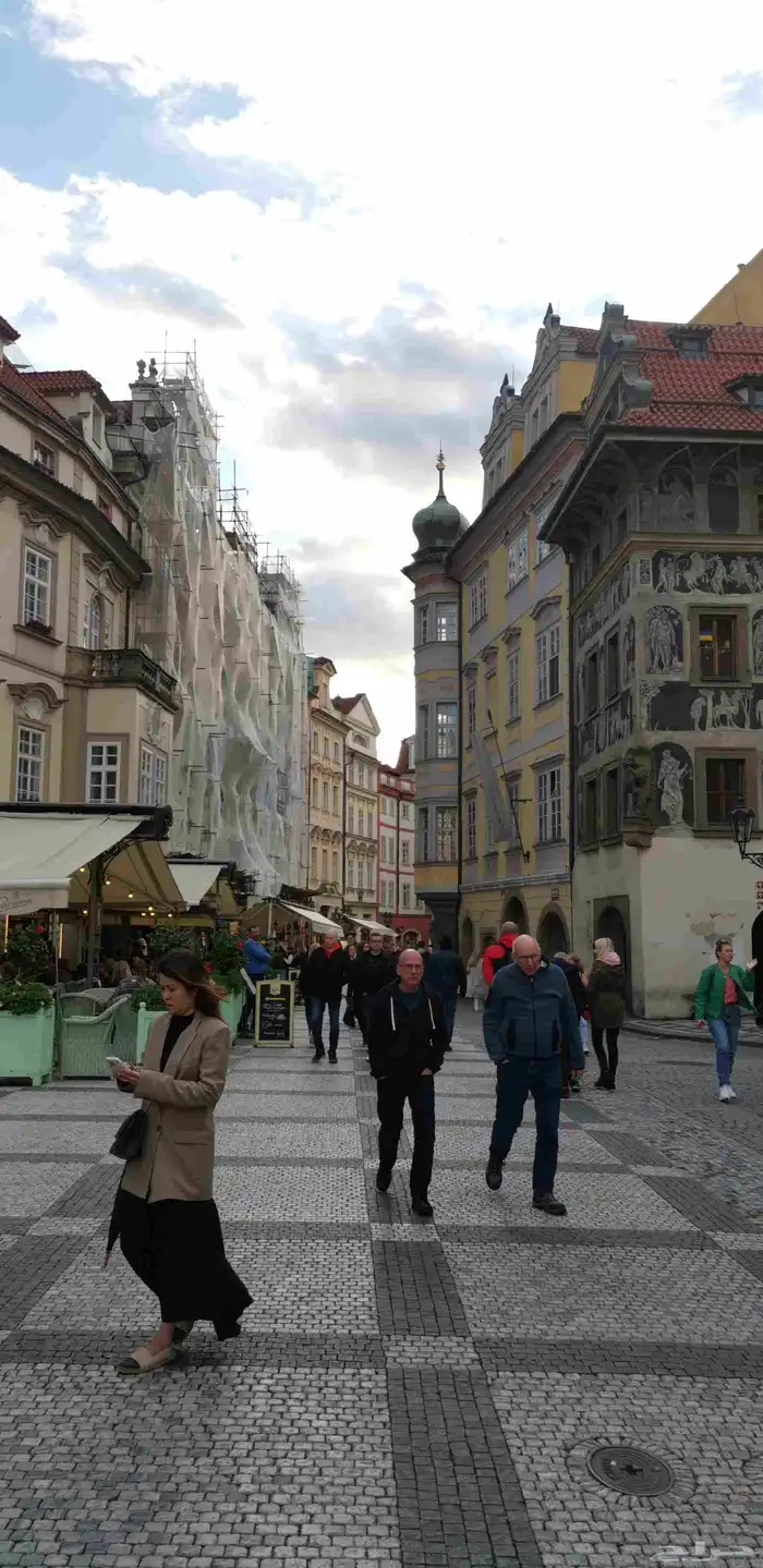 منسق سفر وسياحه 2