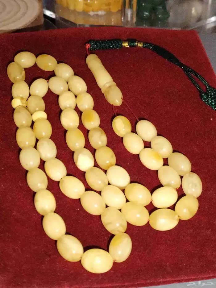 كهرمان بولندي حر مشروط 3