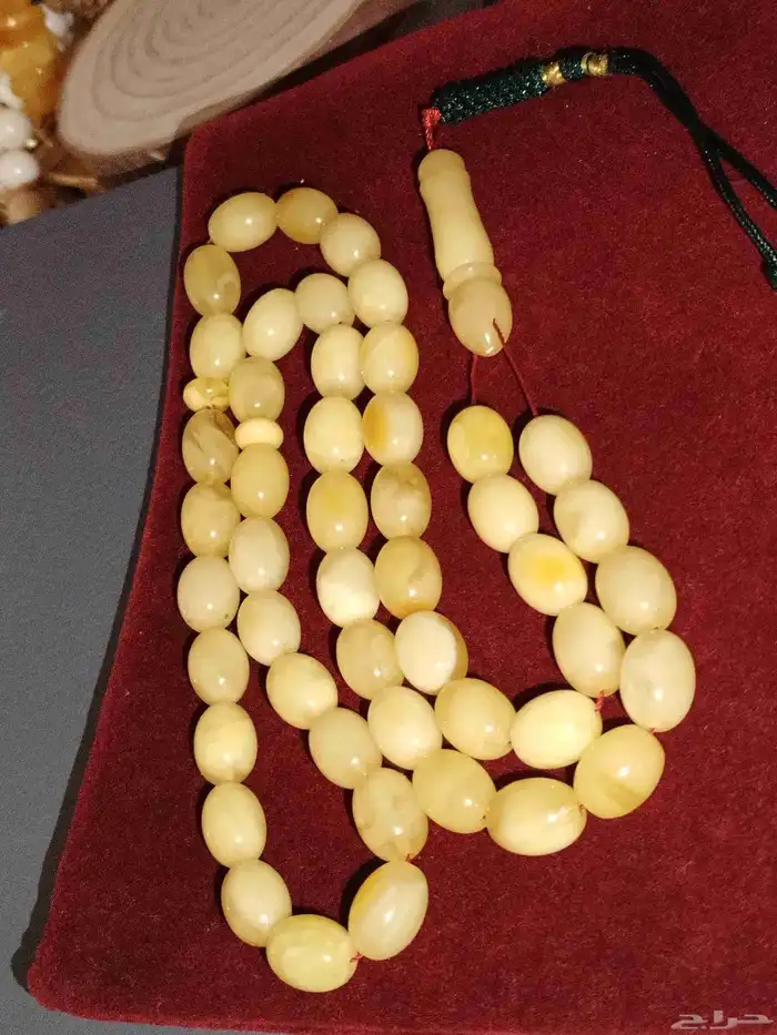 كهرمان بولندي حر مشروط 1