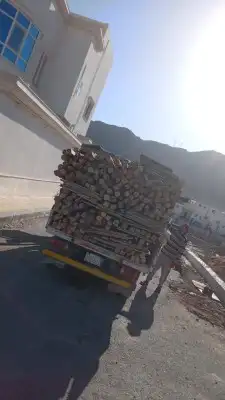 ديانا 0