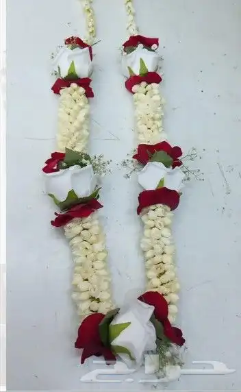 فل طبيعي 2