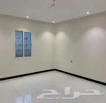 صباغ الاحساء 19