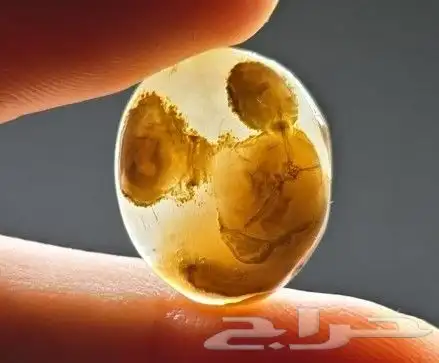 حجر سليماني هندي مصور 1