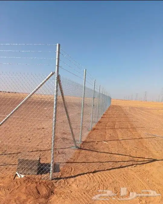 شبك مزرع ونخيل عربي واشنطن 0