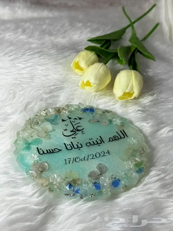 ريزن شيك 6