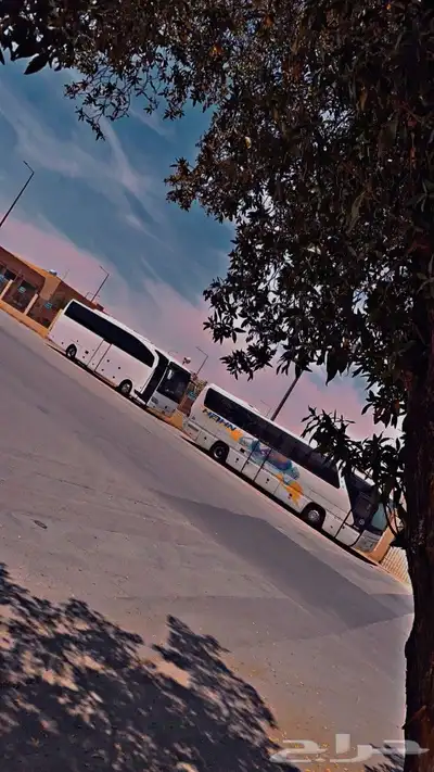 باص للايجار 49راكب 1