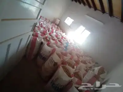 خبز ورقاق سنبوسه للمواشي مجفف للبيع ليتسمني الحلال 1