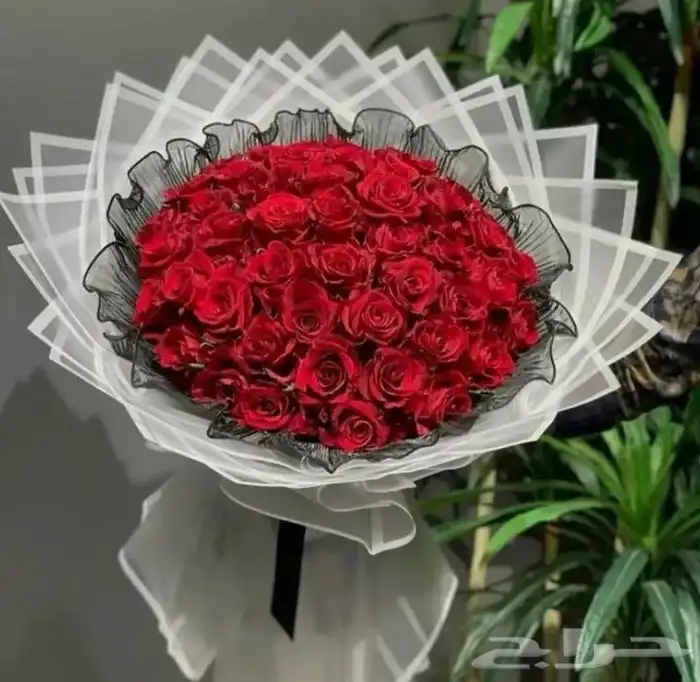 ورد وهدايا أبها وخميس مشيط واحد رفيده 7