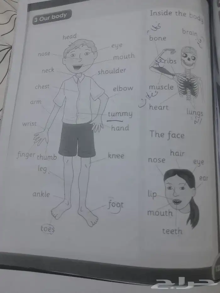معلمة لغة إنجليزية رياضيات لغتي تأسيس ومتابعة 0