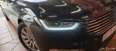 ليد نهاري تورس 2019 6