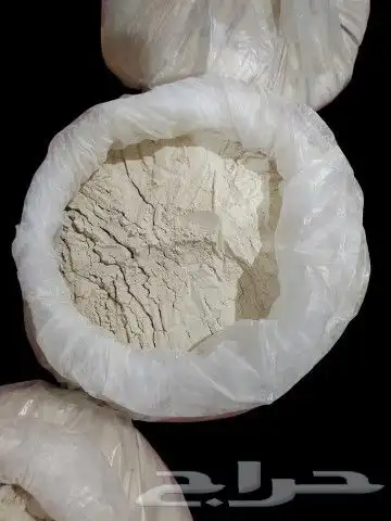 بودره لقاح حقت الموسم للبيع من اجود انواع النخيل 1