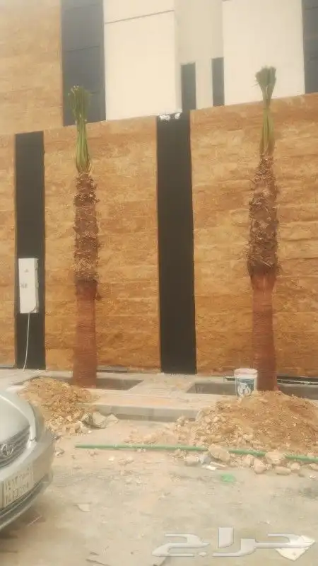 واشنطن وعربي 0