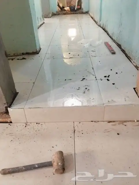 مبلط بلاط  شاني عبدالمجيد 9