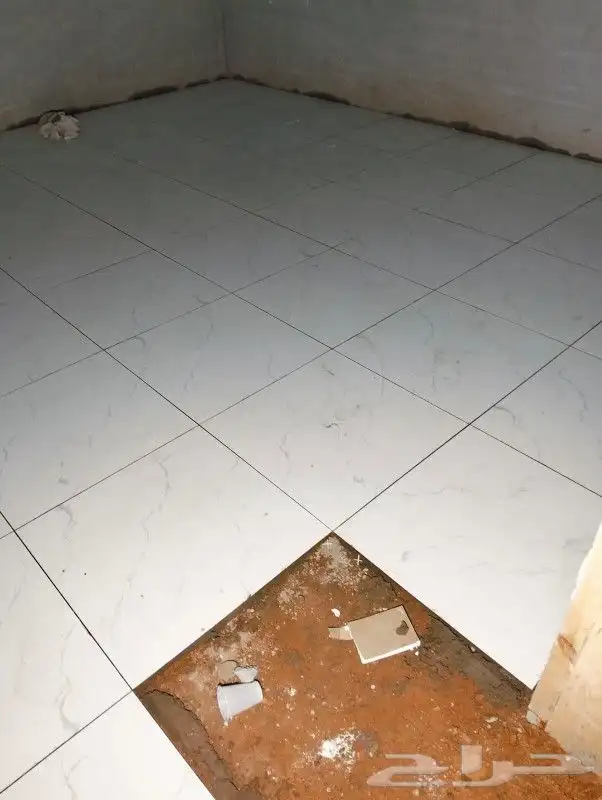 مبلط بلاط  شاني عبدالمجيد 7