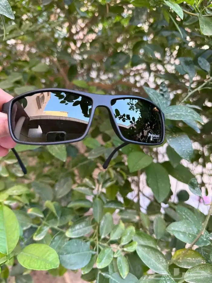 نظارة شمسية من lacoste 0