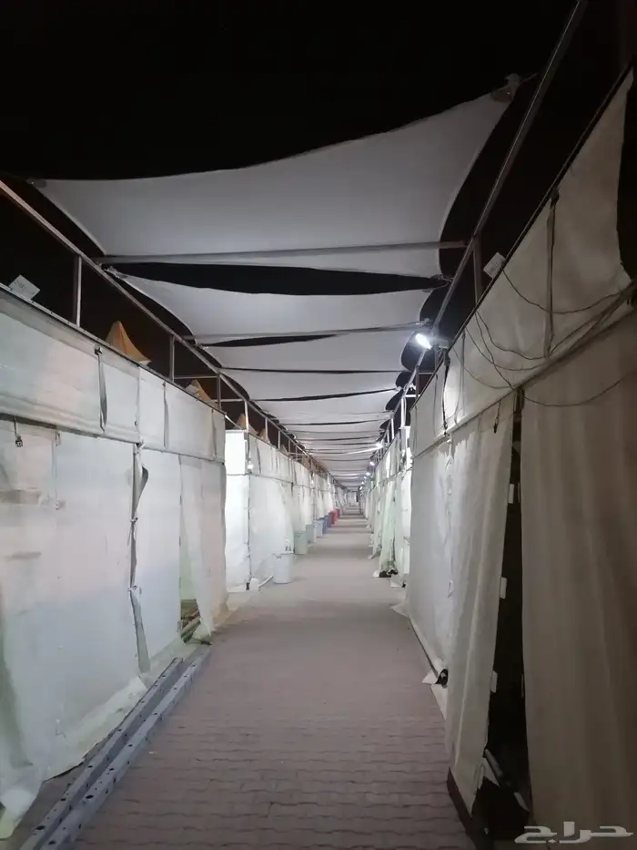مخيمات المشاعر 8