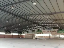 مخيمات المشاعر 2