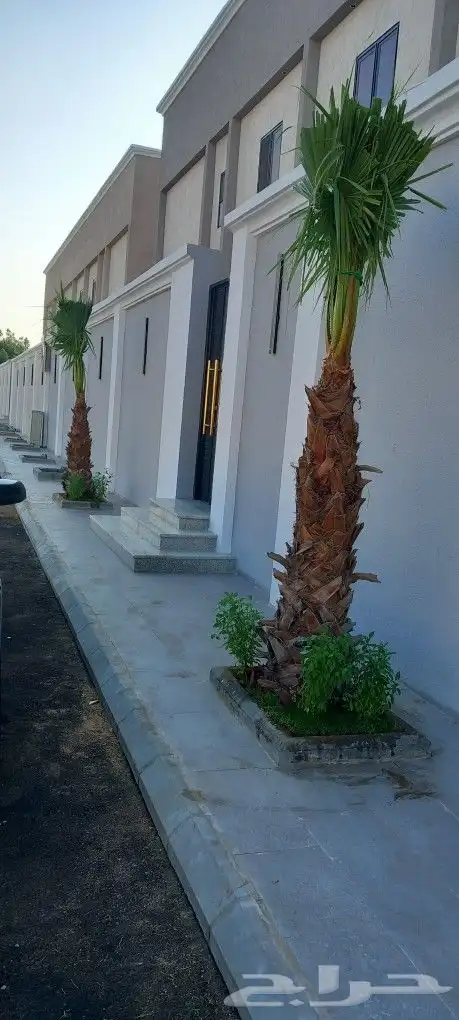 مشتل الشريف 8