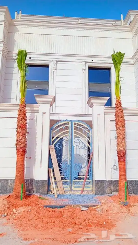 واشطونيا زينه ابومروحه جميع المقاسات 9