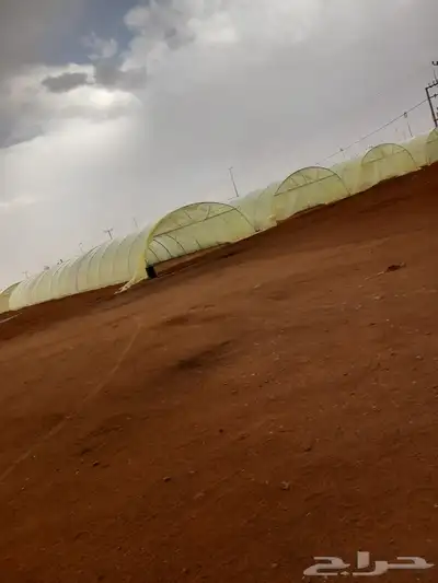 فك وتركيب البيوت المحميه 4