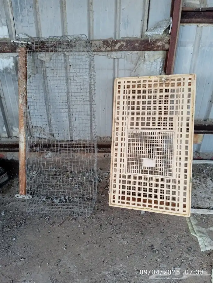 شبك حمام او دجاج 0