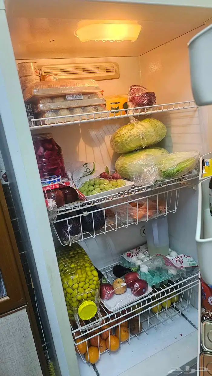 براد كيلفنتور للبيع 3