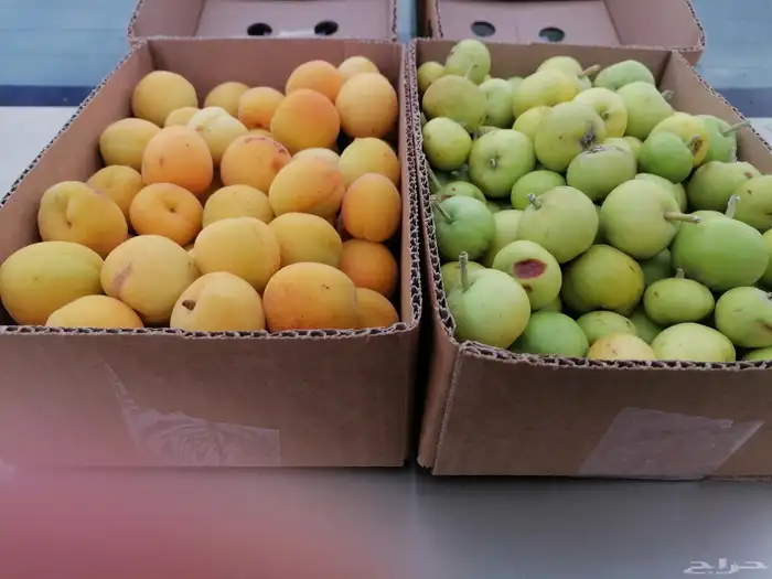 مشمش طايفي وتوت حامض حلو وتفاح بلدي 1