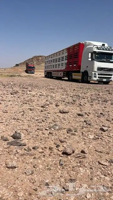 غرب القصيم 0