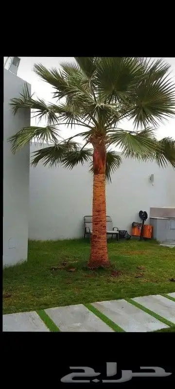 مشتل تنسيق حدائق 1