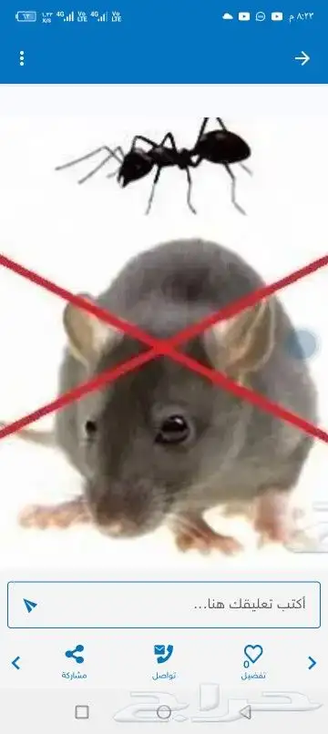 شركه تنظيف منازل بيوت كنب سجاد خزانات غسيل مكيفات مكافحه حشر 10