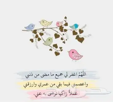 تحفيظ القران الكريم مجود للأطفال والنساء 0