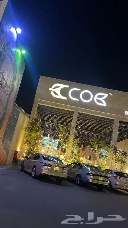 دعاية والإعلان 8