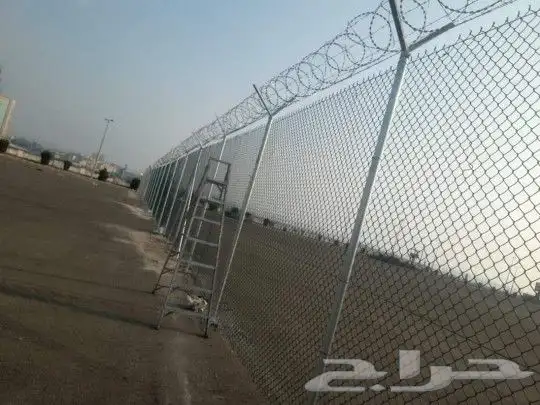 تسوير المزارع والأراضي البيضاء وتوريد وزراعة النخيل 16