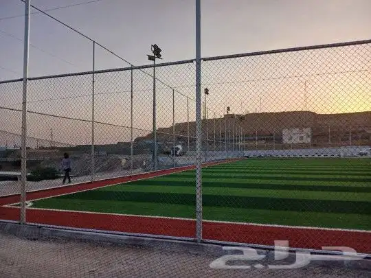 تسوير المزارع والأراضي البيضاء وتوريد وزراعة النخيل 15