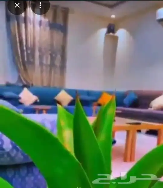ش ا ل ي ه ومسبح 4
