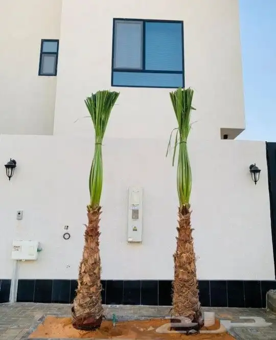 يوجد لدينا جميع انواع انخيل 5