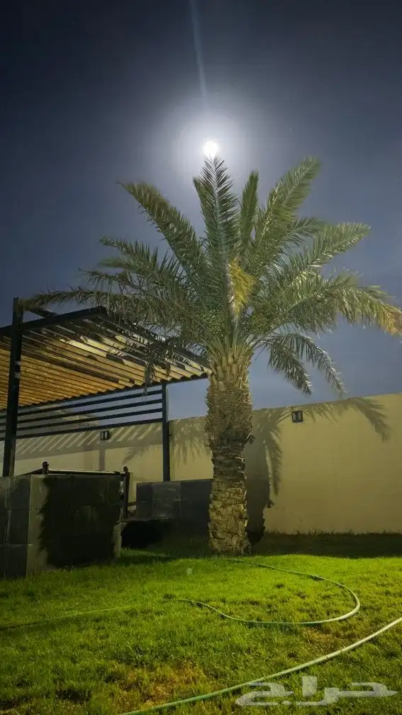 استراحة قصور ال مقبل عرض خاص للعيد 6