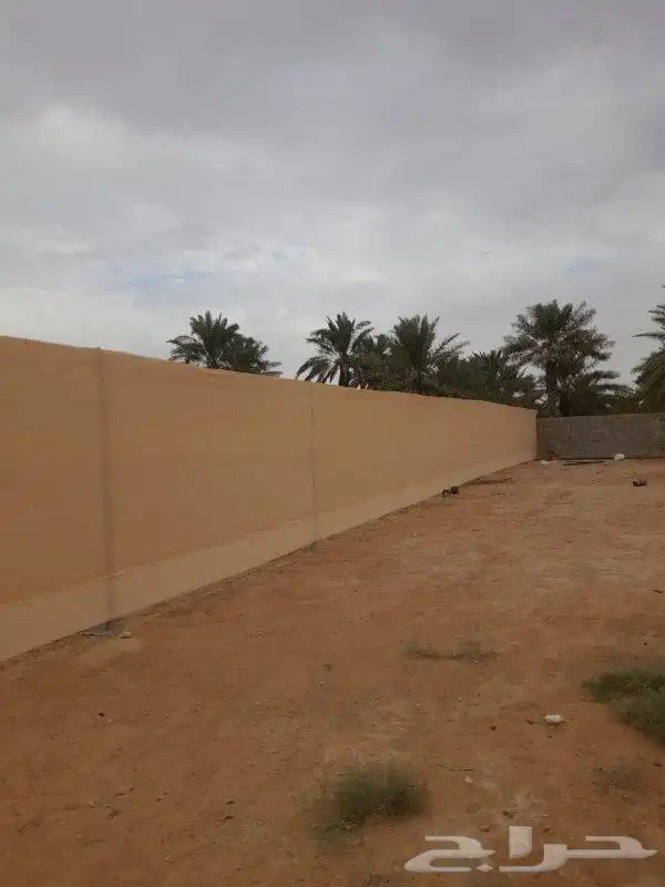 تسوير المزارع والأراضي البيضاء وتوريد وزراعة النخيل 9