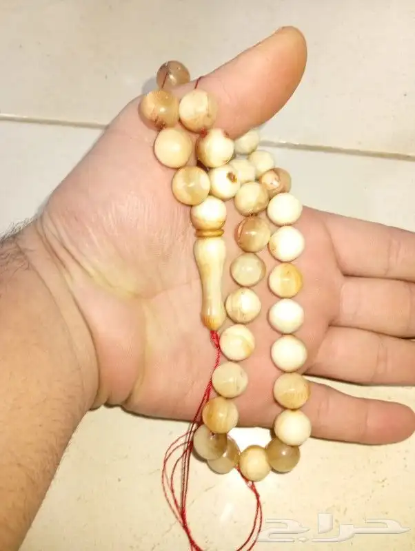 سبحة خرتيت صفياني قديم شرط 4