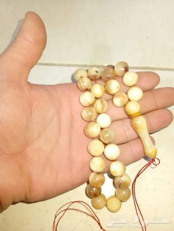 سبحة خرتيت صفياني قديم شرط 5