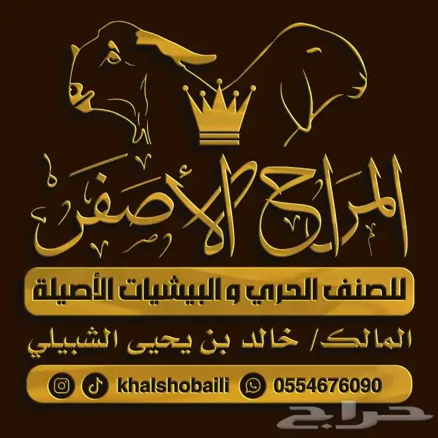 مصمم شعارات ولوقو محترف للمؤسسات و الشركات و لجميع الأعمال 2