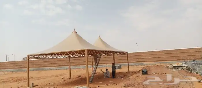 توريد وزراعة نخل الواشنطنياء والنخل العربي والاشجار بانو 3