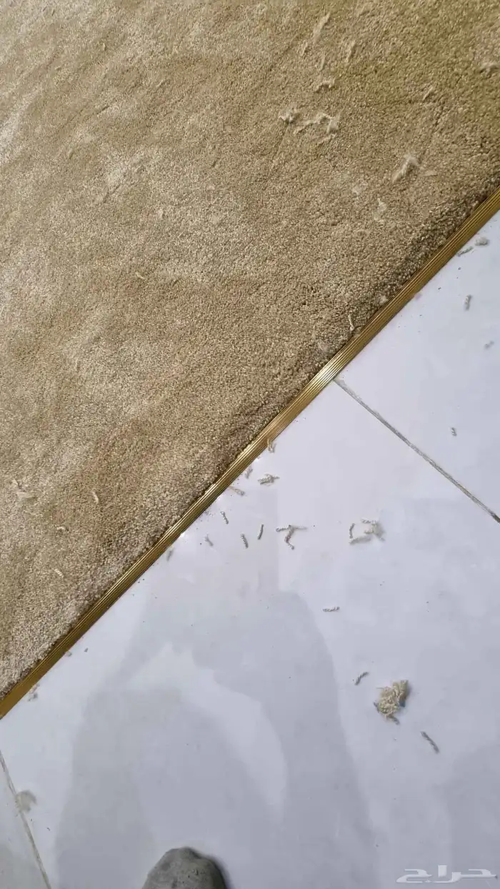 موكيت و فينيل بجميع أنواعها فني تركيب 2